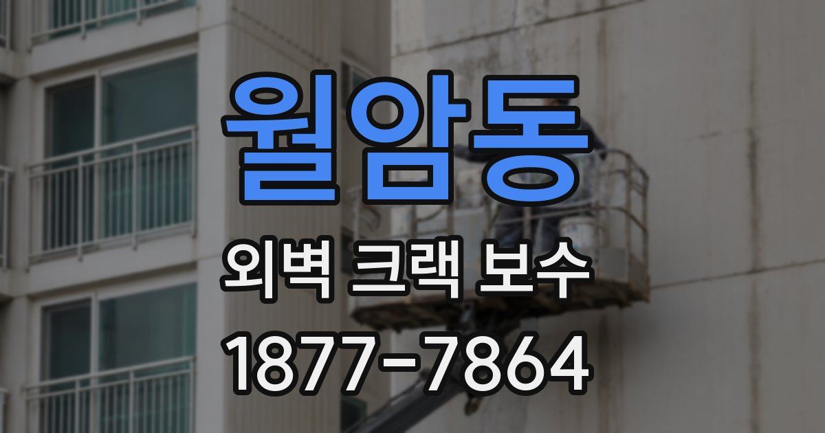 월암동 외벽 크랙 보수