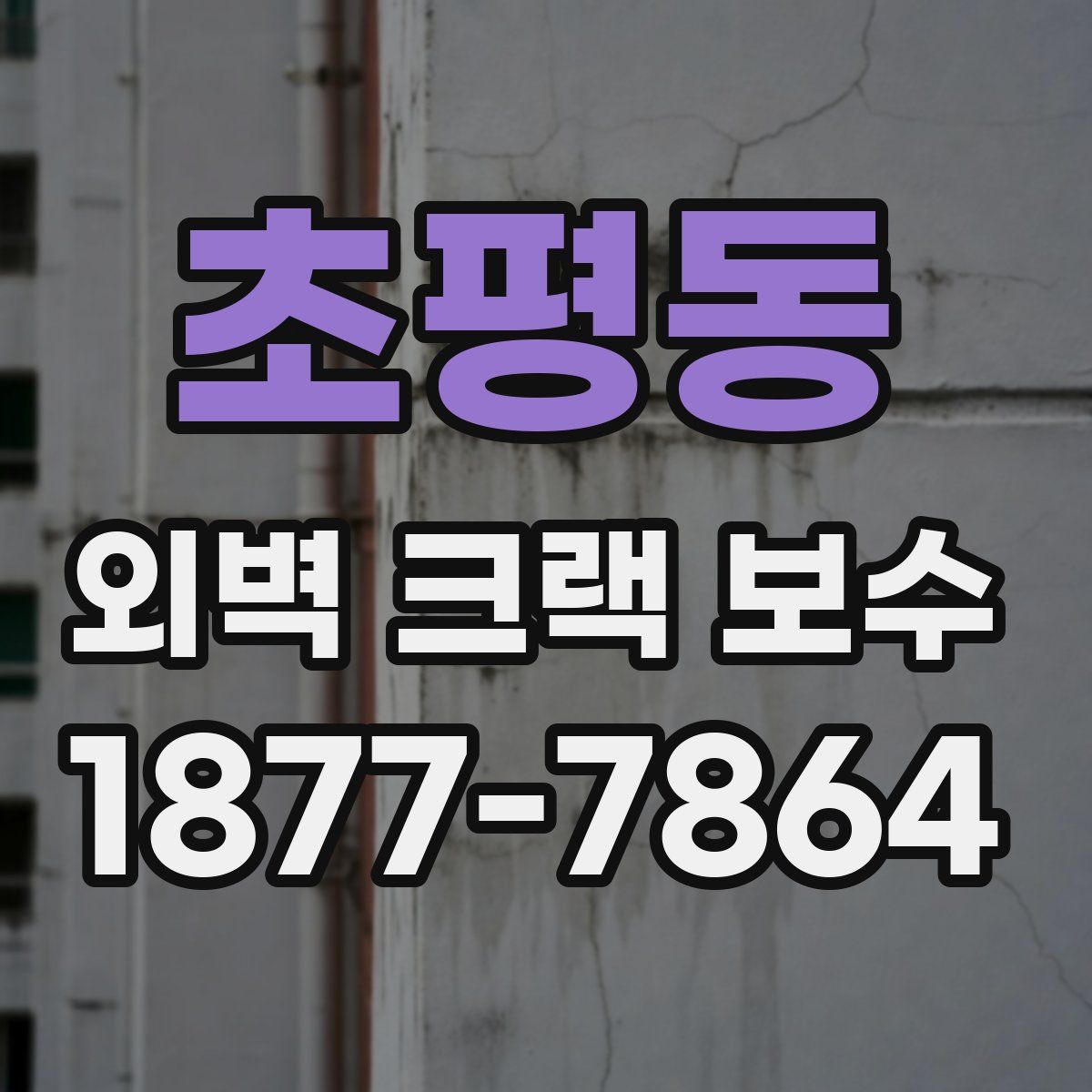 초평동 외벽 크랙 보수