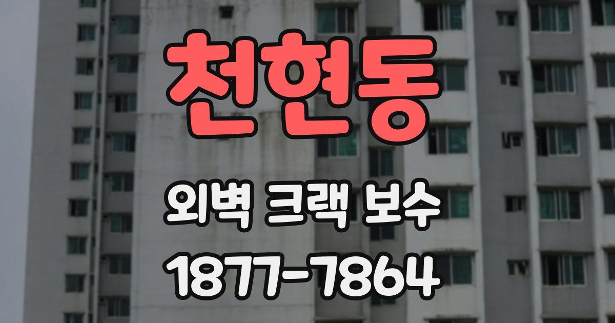 천현동 외벽 크랙 보수