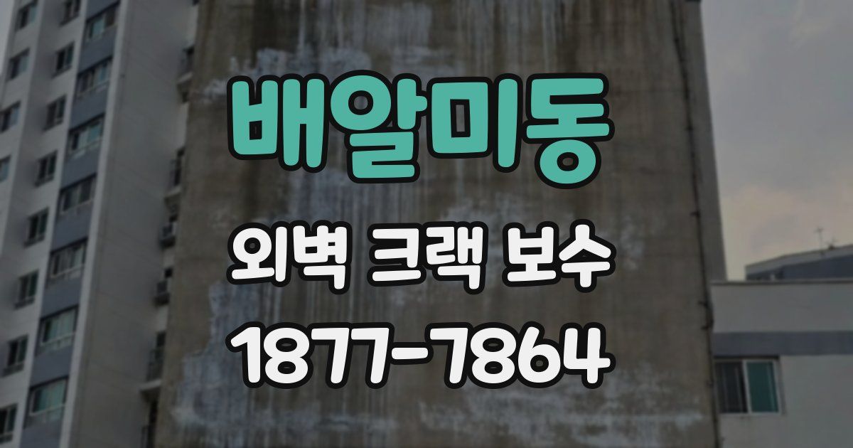 배알미동 외벽 크랙 보수