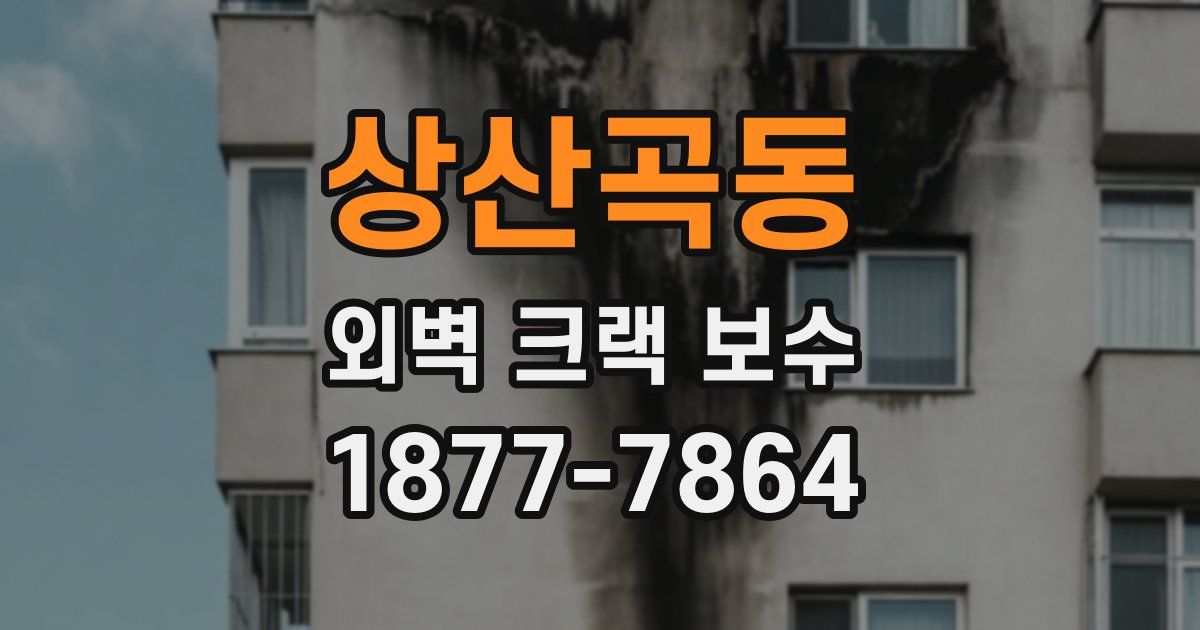 상산곡동 외벽 크랙 보수