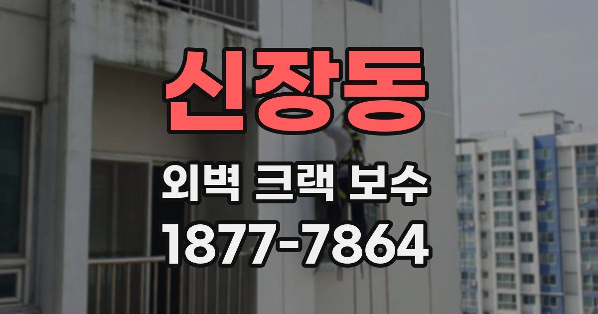 신장동 외벽 크랙 보수