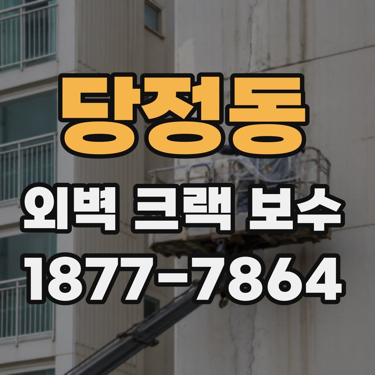 당정동 외벽 크랙 보수