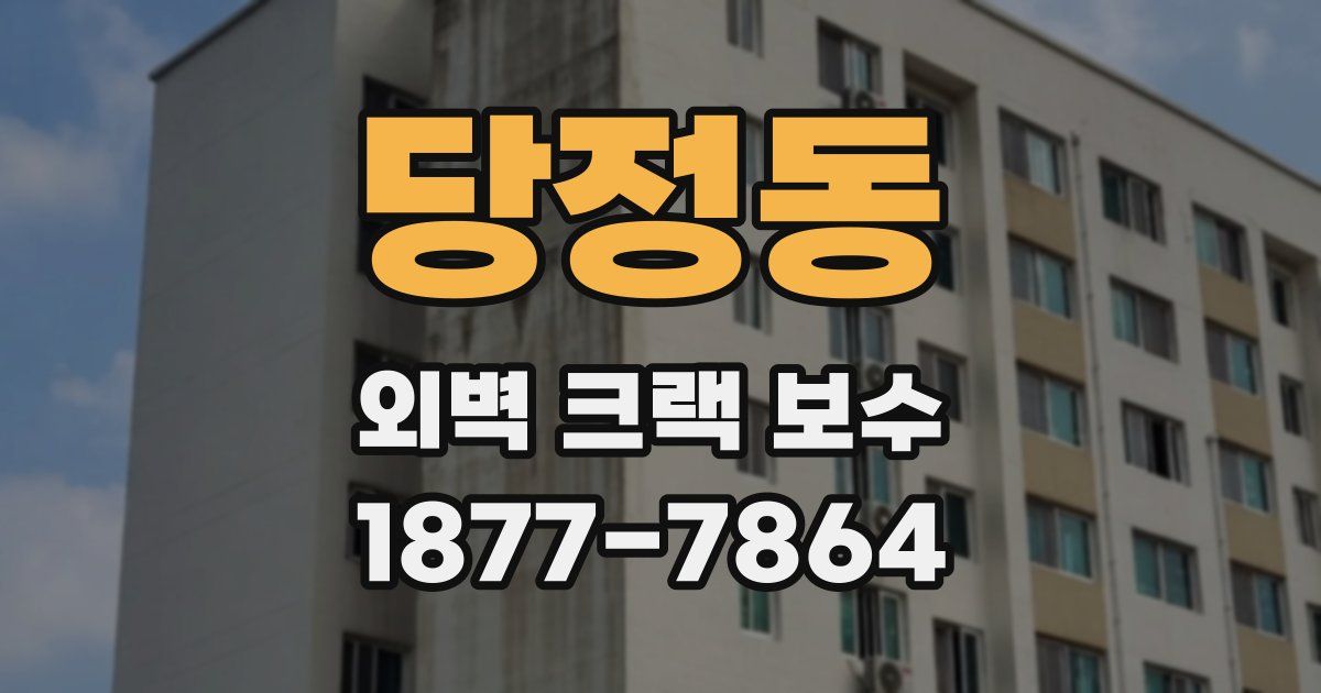 당정동 외벽 크랙 보수