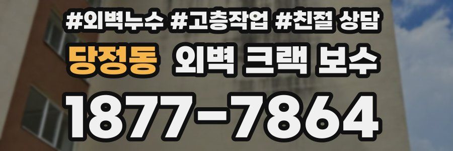 당정동 외벽 크랙 보수