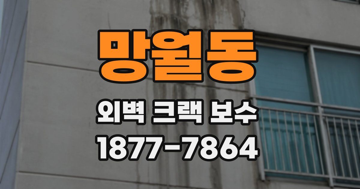 망월동 외벽 크랙 보수