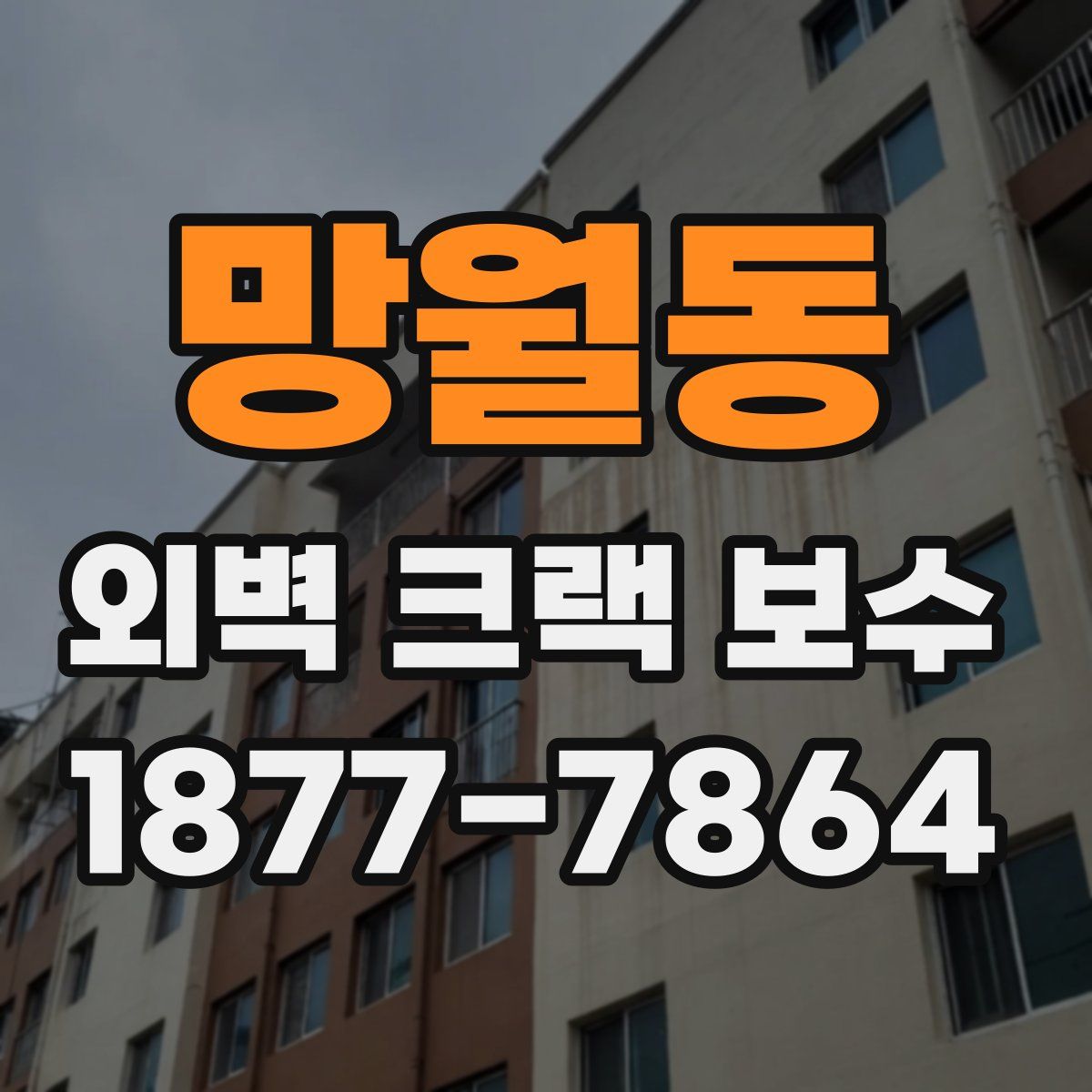 망월동 외벽 크랙 보수