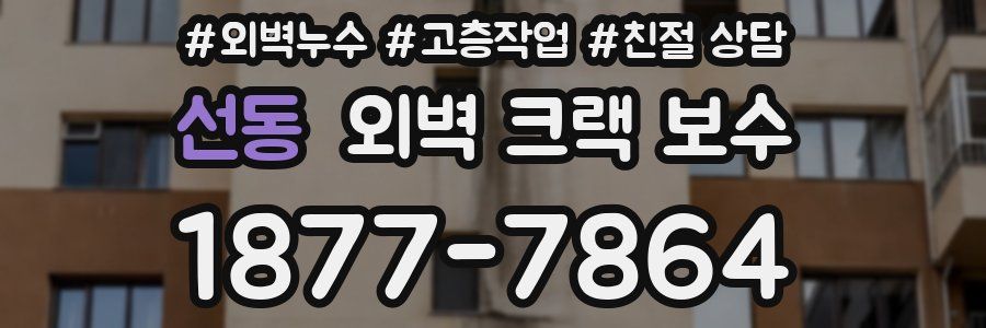 선동 외벽 크랙 보수