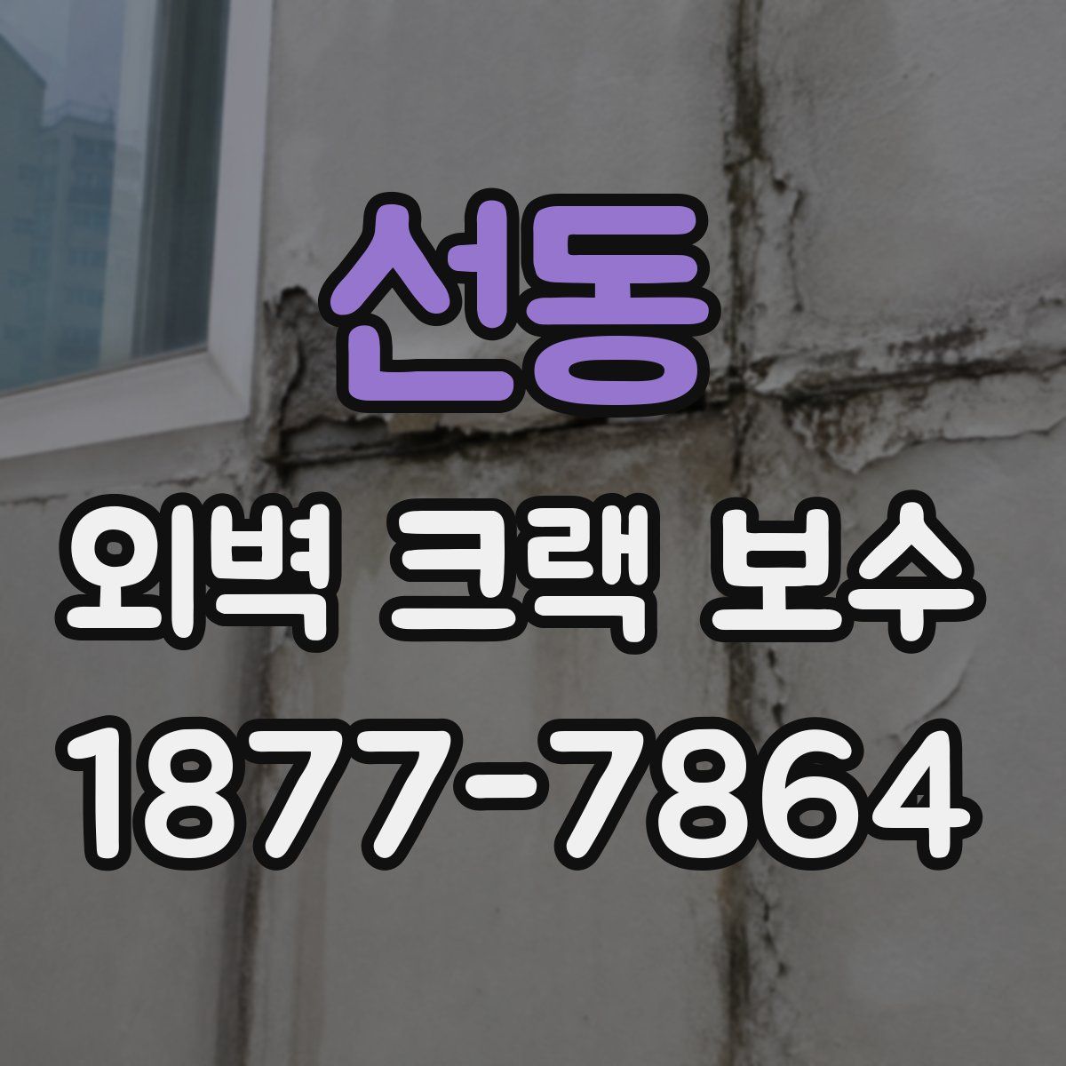 선동 외벽 크랙 보수