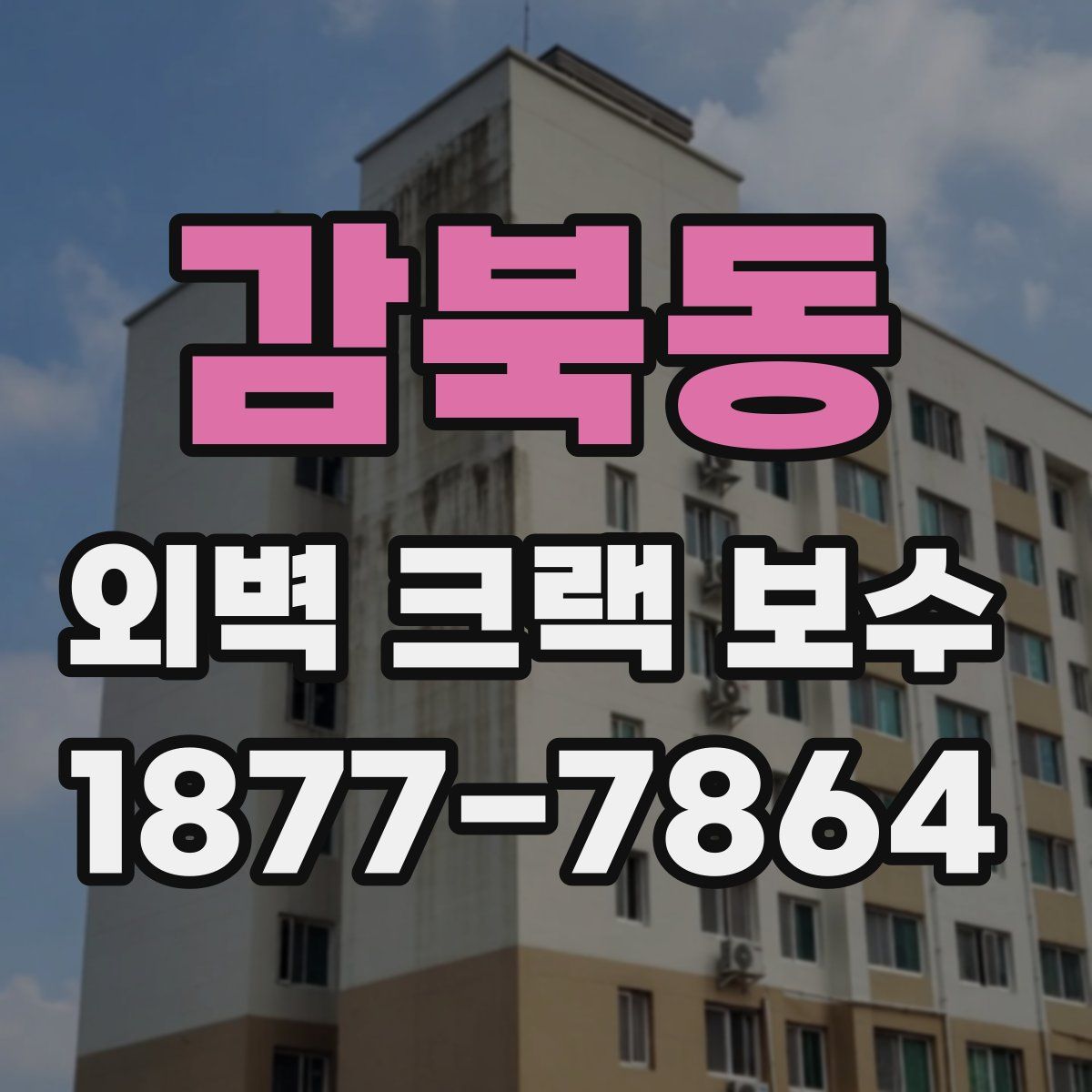 감북동 외벽 크랙 보수