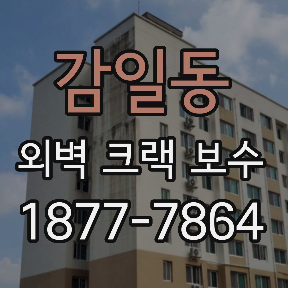 감일동 외벽 크랙 보수