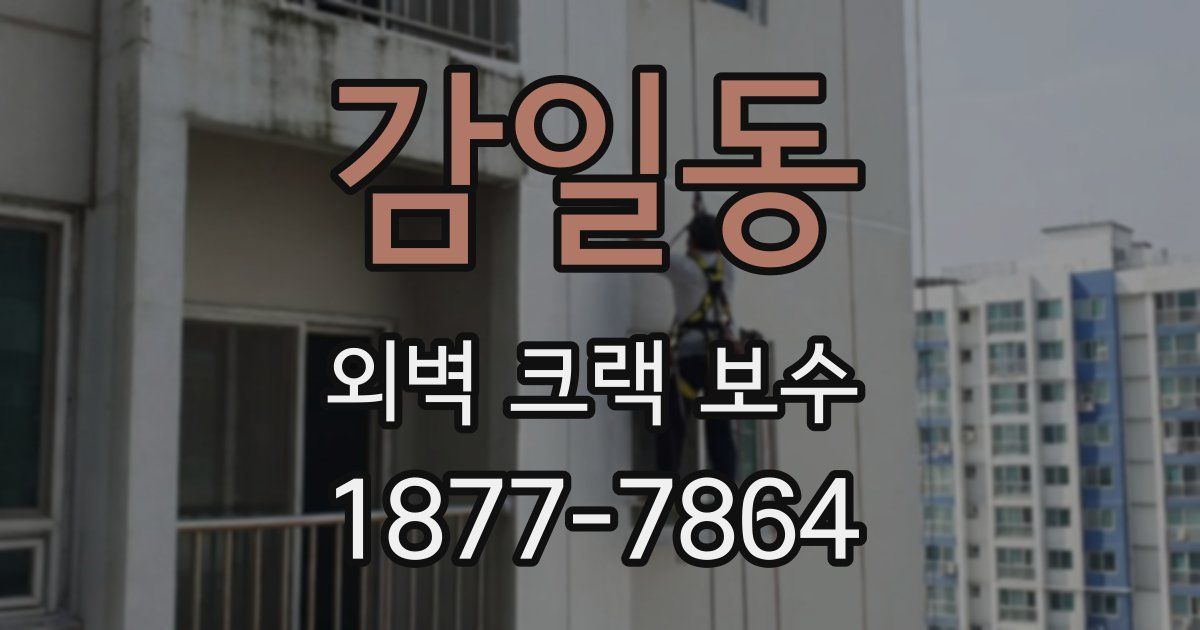 감일동 외벽 크랙 보수