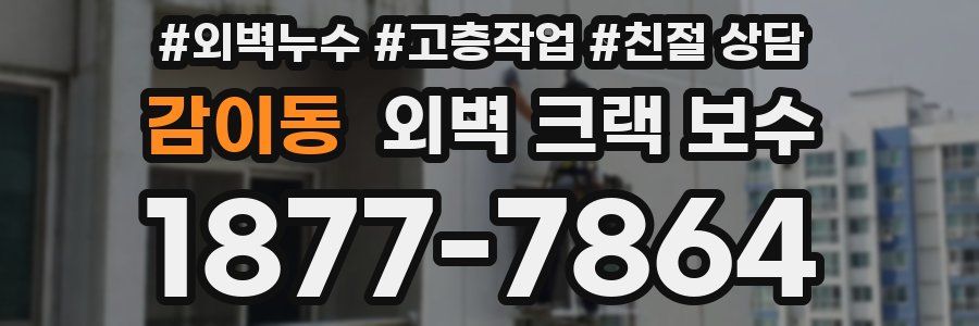 감이동 외벽 크랙 보수
