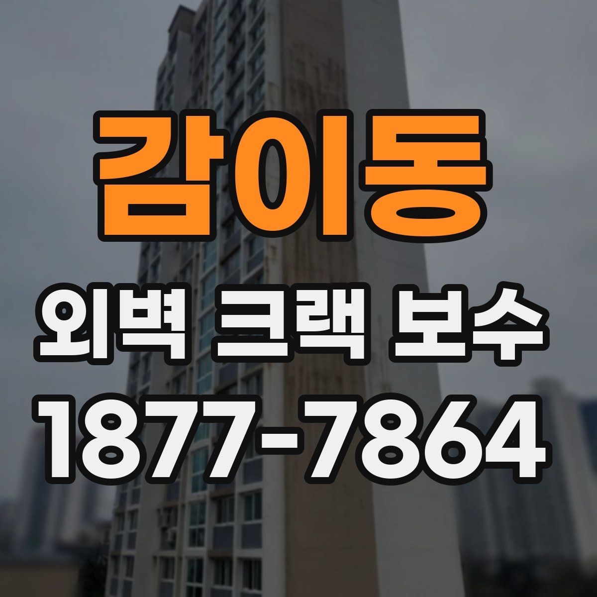 감이동 외벽 크랙 보수
