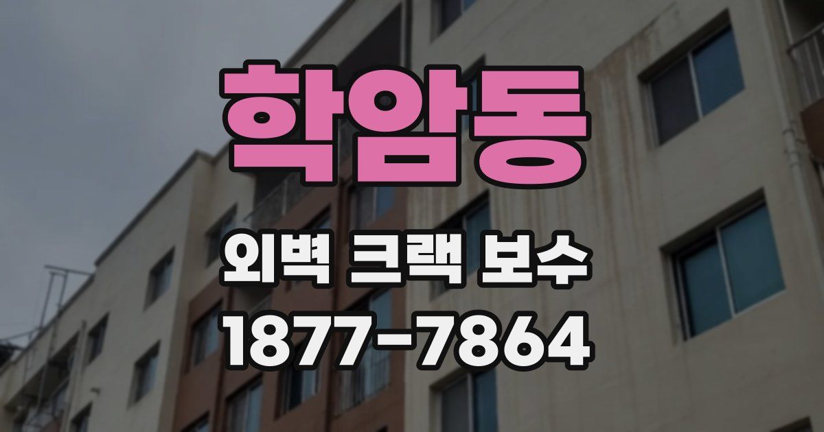 학암동 외벽 크랙 보수