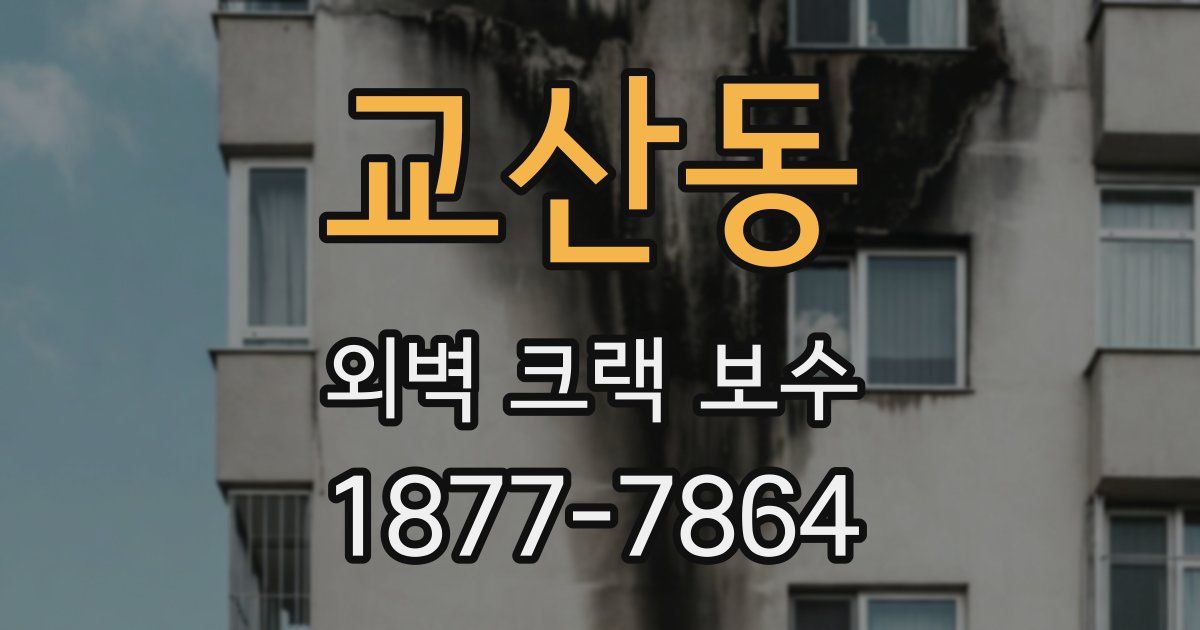 교산동 외벽 크랙 보수