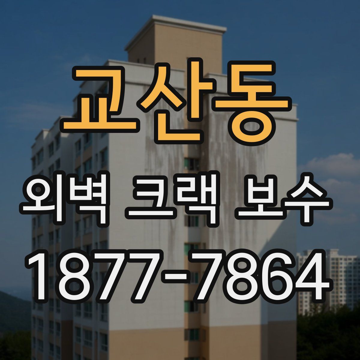 교산동 외벽 크랙 보수