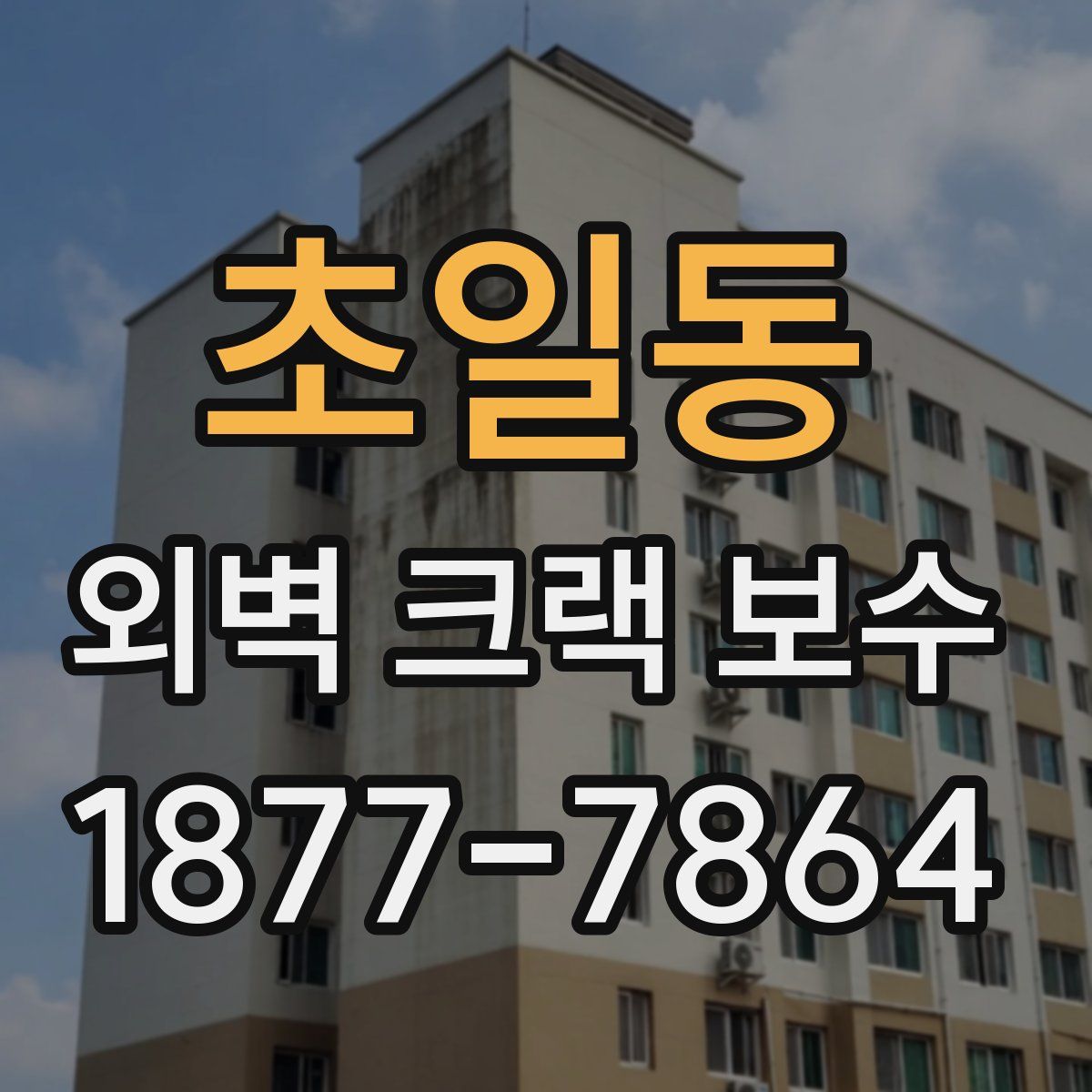 초일동 외벽 크랙 보수