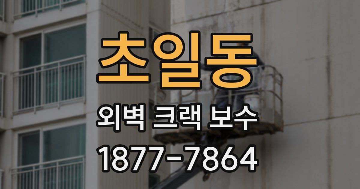 초일동 외벽 크랙 보수