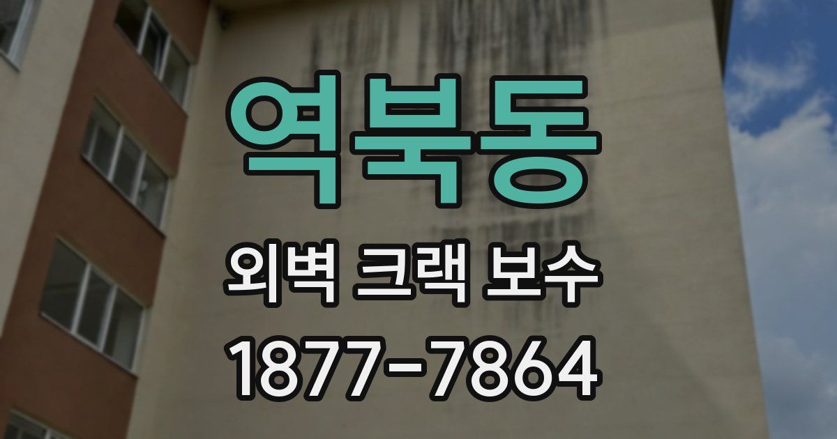 역북동 외벽 크랙 보수