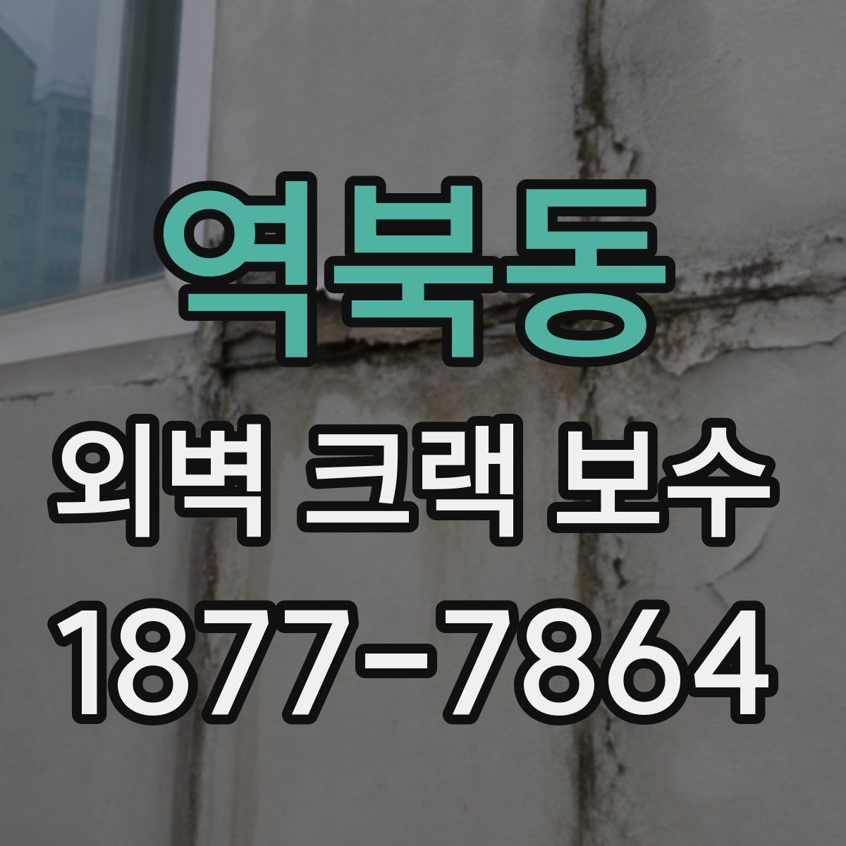 역북동 외벽 크랙 보수
