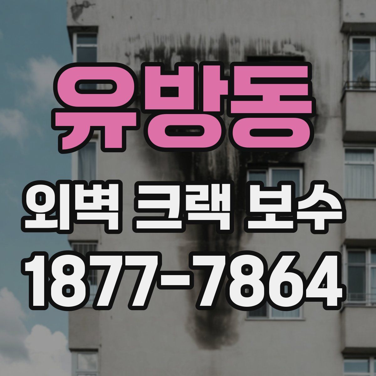 유방동 외벽 크랙 보수