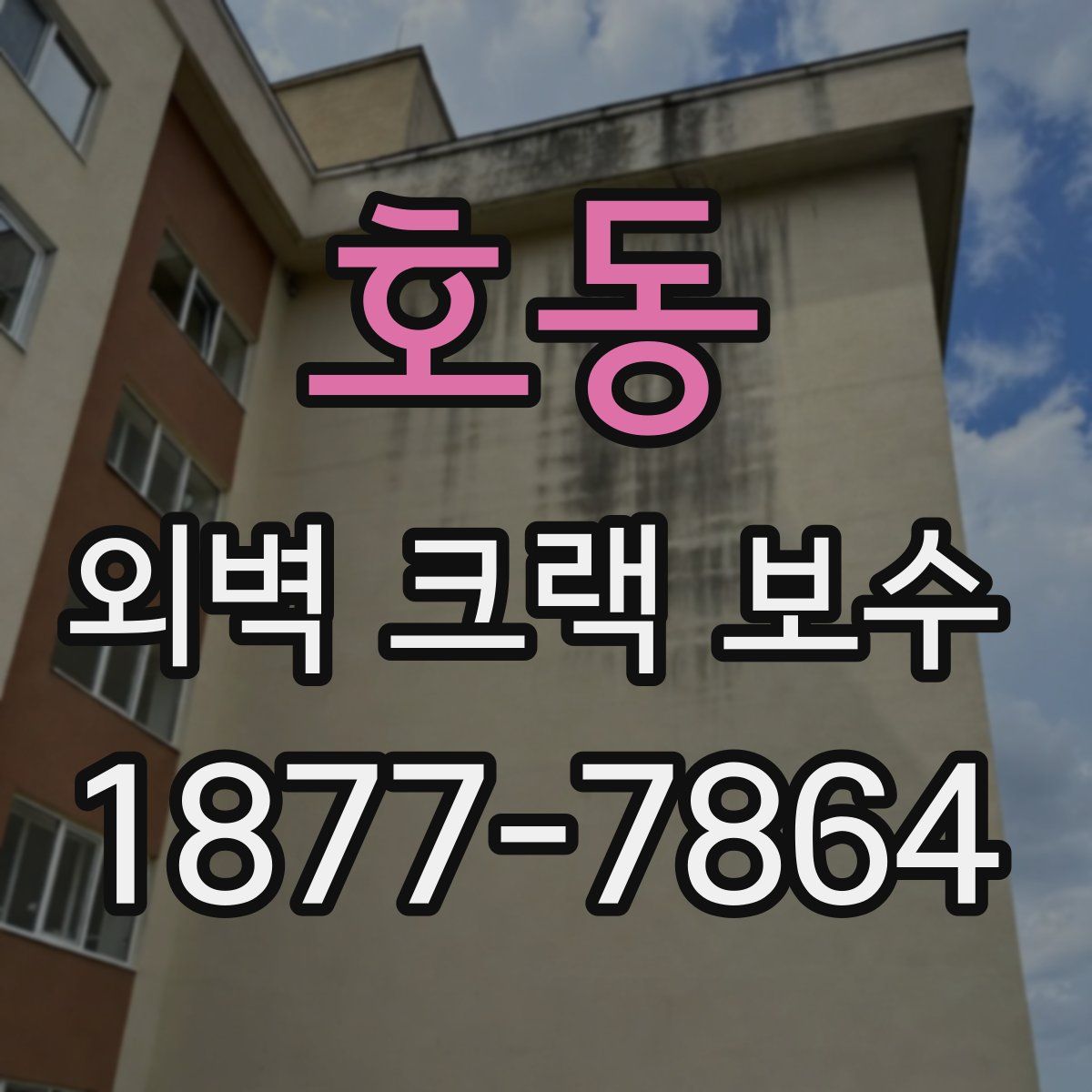 호동 외벽 크랙 보수