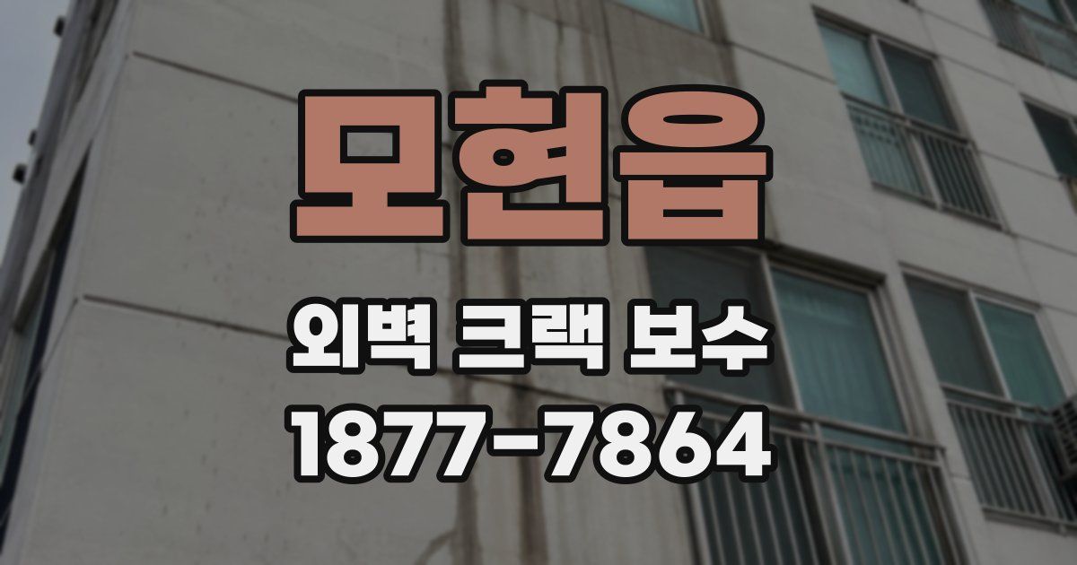 모현읍 외벽 크랙 보수