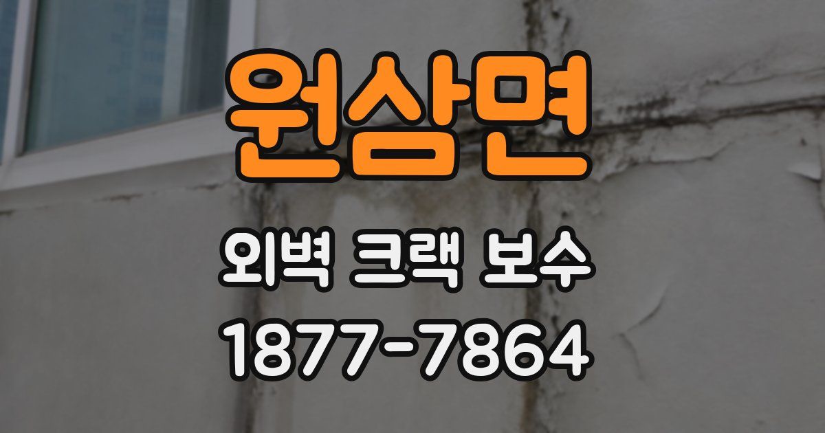 원삼면 외벽 크랙 보수