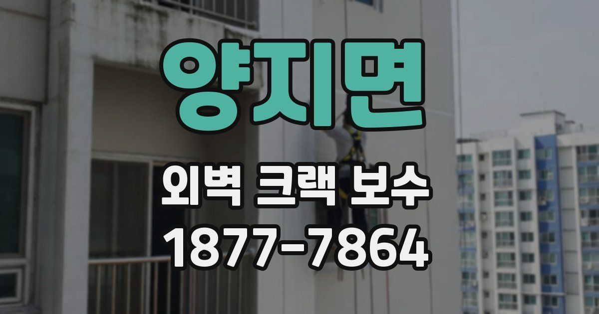 양지면 외벽 크랙 보수