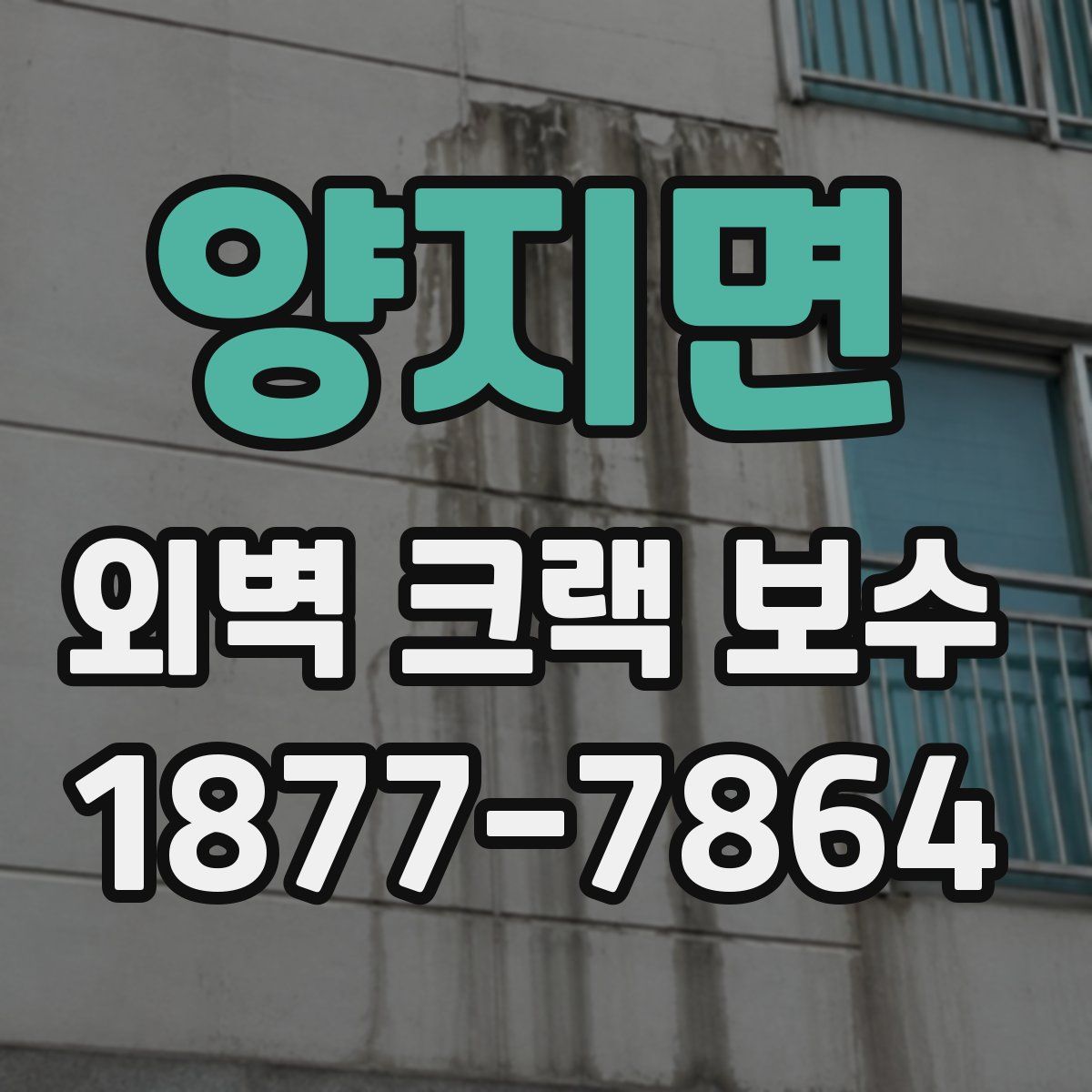 양지면 외벽 크랙 보수