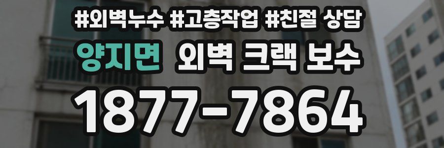 양지면 외벽 크랙 보수