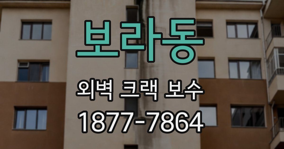 보라동 외벽 크랙 보수