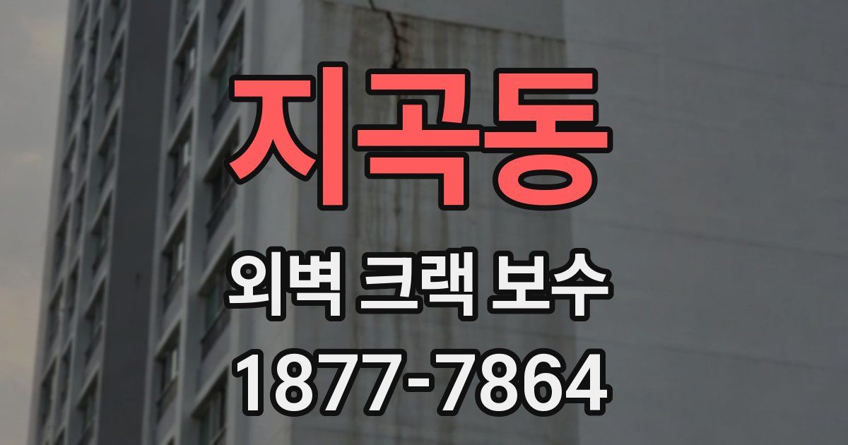지곡동 외벽 크랙 보수