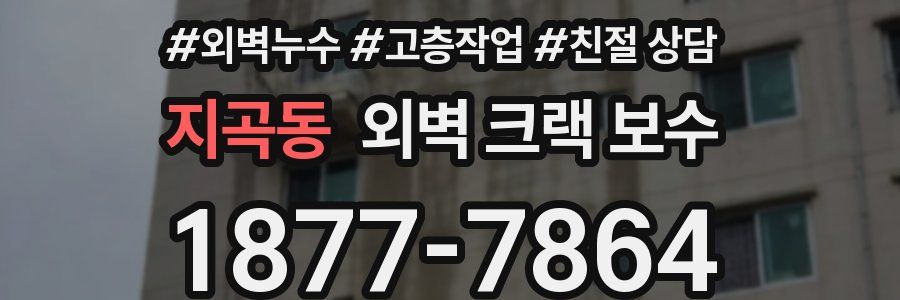 지곡동 외벽 크랙 보수