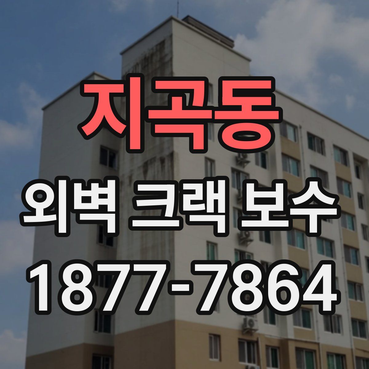 지곡동 외벽 크랙 보수