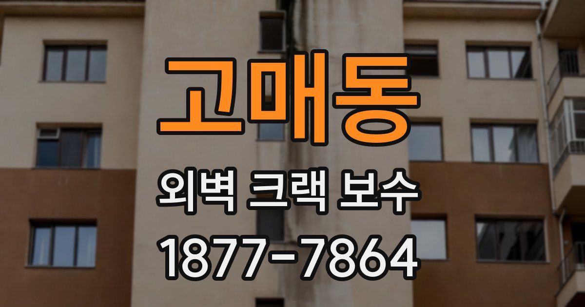 고매동 외벽 크랙 보수