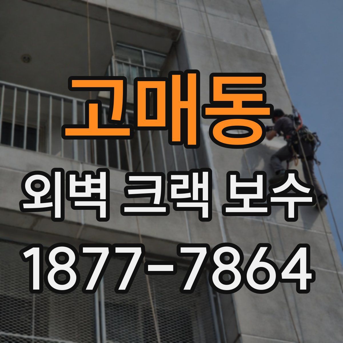 고매동 외벽 크랙 보수