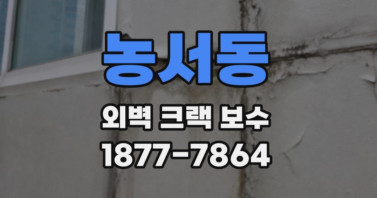 농서동 외벽 크랙 보수