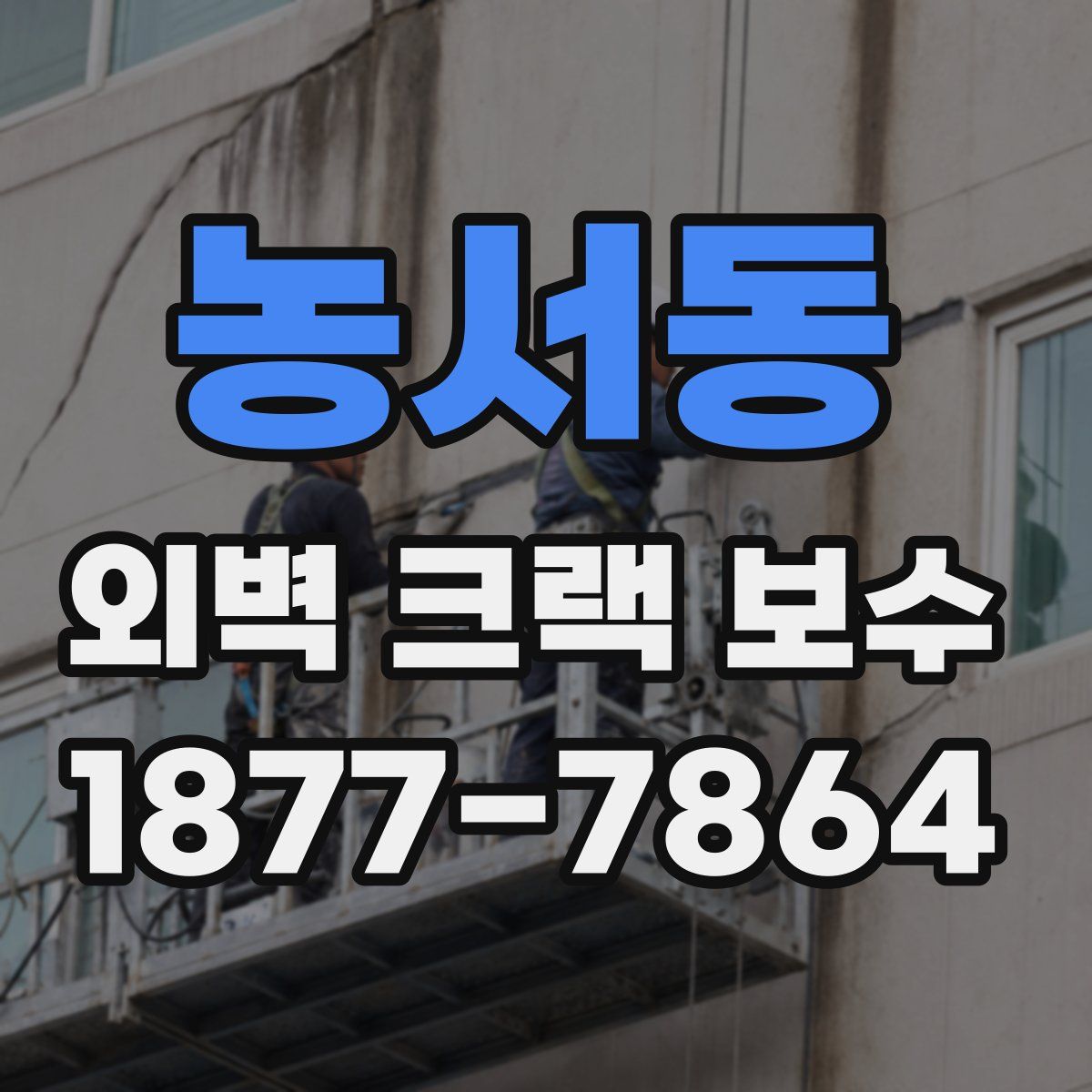 농서동 외벽 크랙 보수