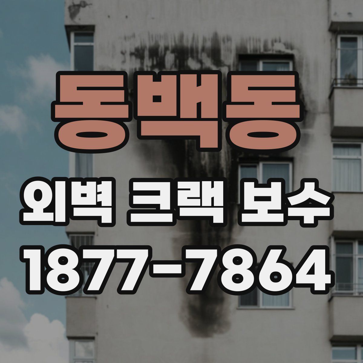 동백동 외벽 크랙 보수
