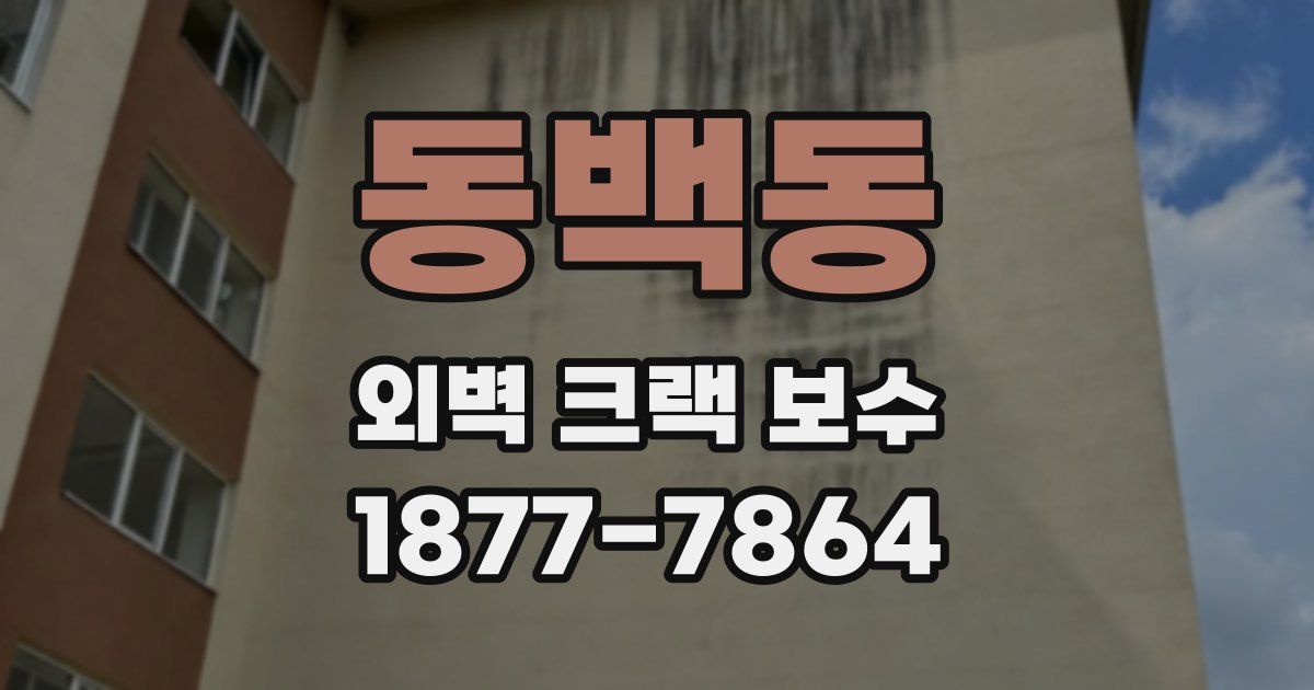 동백동 외벽 크랙 보수