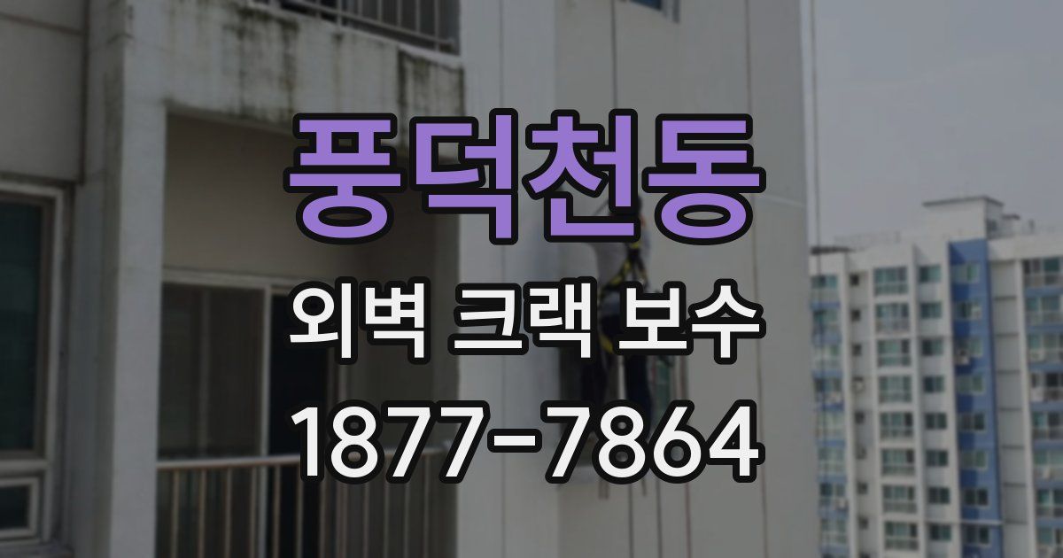 풍덕천동 외벽 크랙 보수