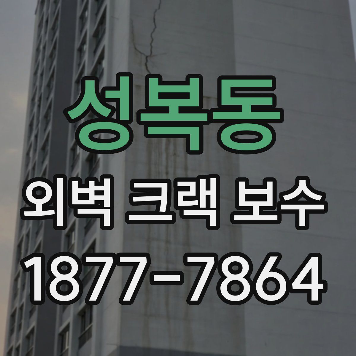 성복동 외벽 크랙 보수
