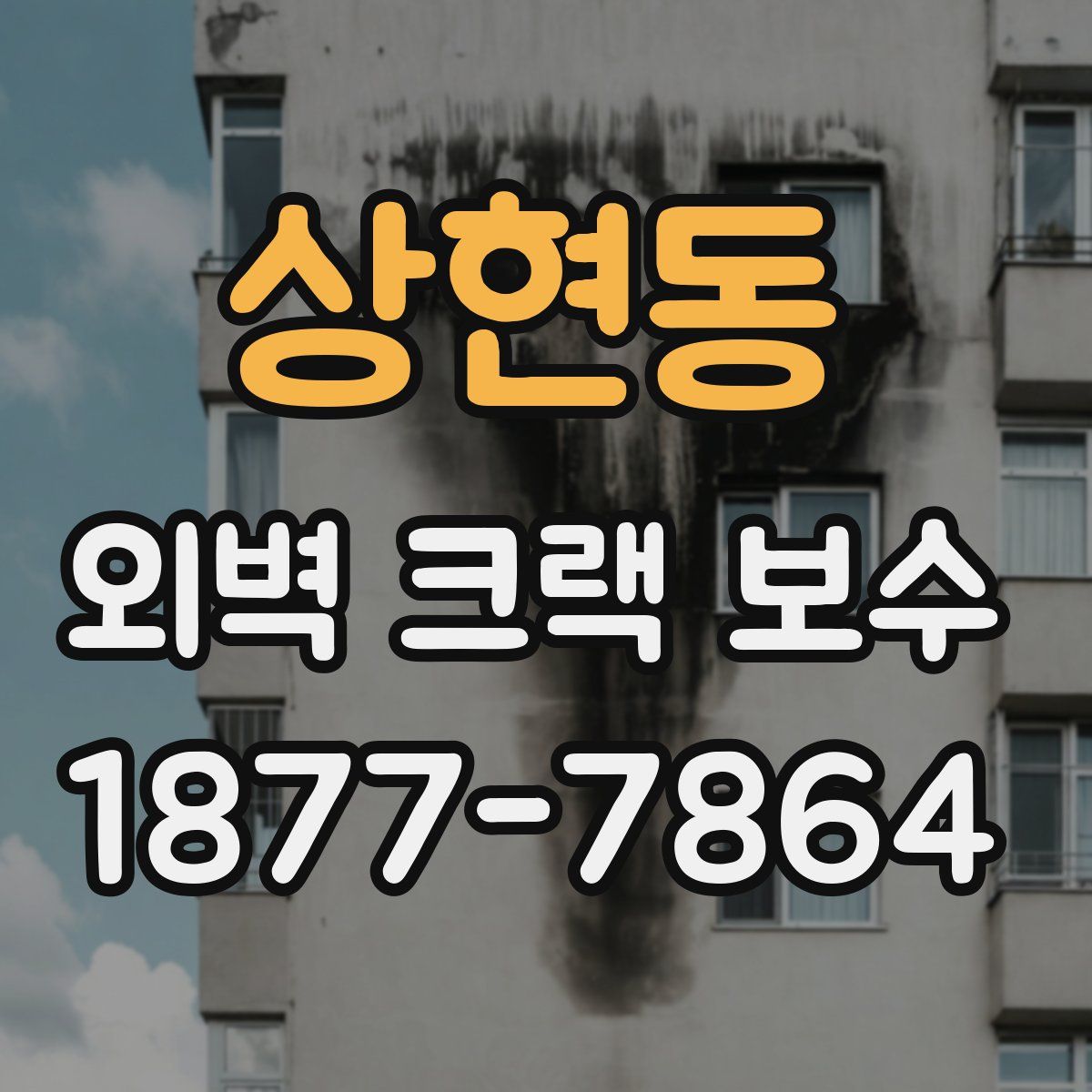 상현동 외벽 크랙 보수