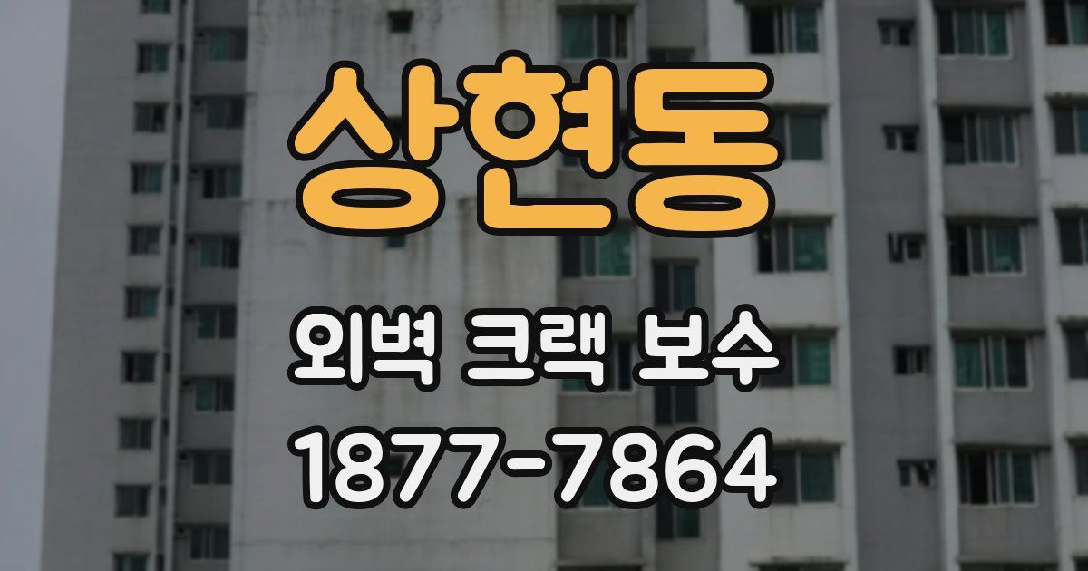 상현동 외벽 크랙 보수