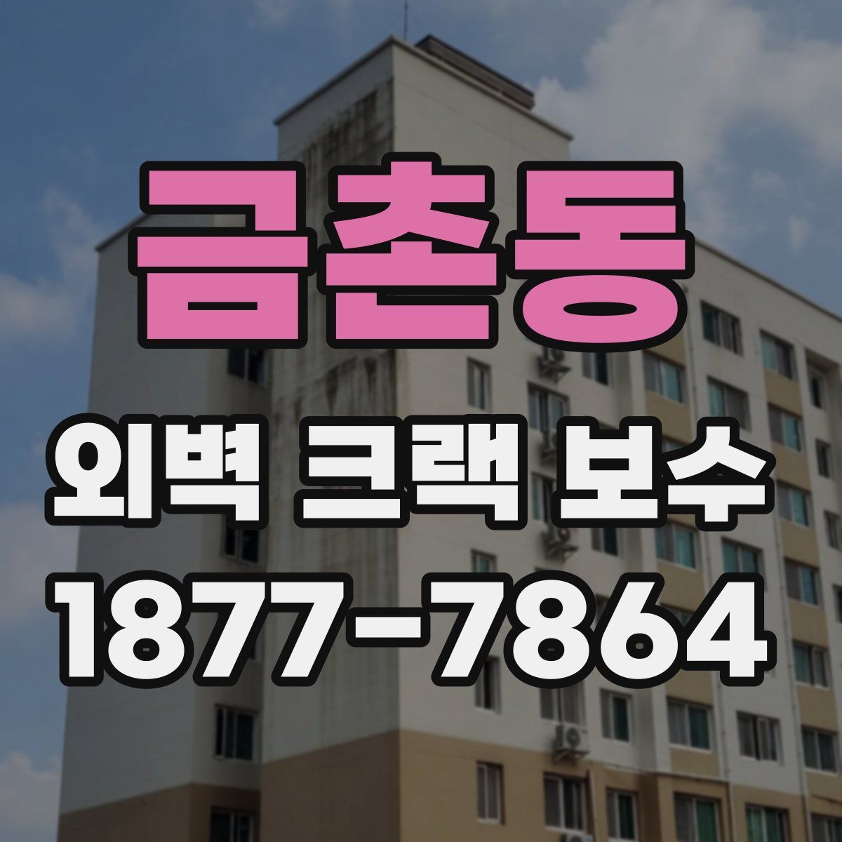 금촌동 외벽 크랙 보수