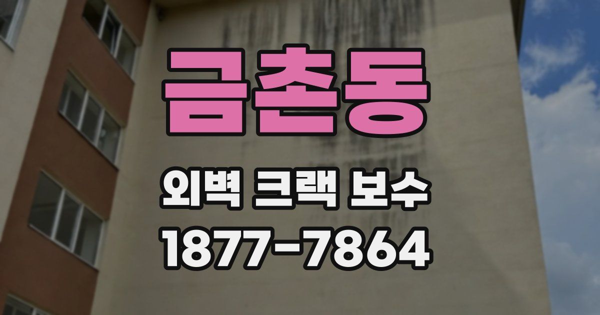 금촌동 외벽 크랙 보수