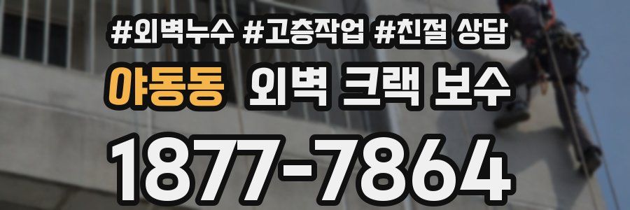 야동동 외벽 크랙 보수