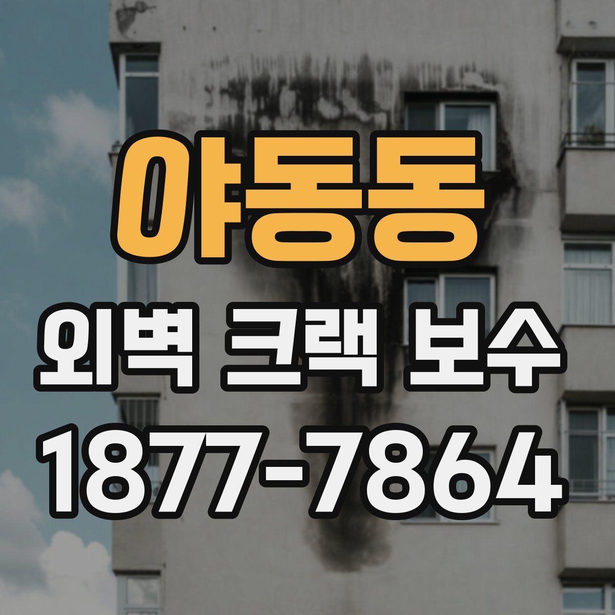 야동동 외벽 크랙 보수